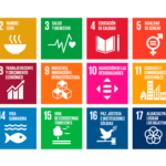 Sostenibilidad empresarial ¿moda, imposición o compromiso real?